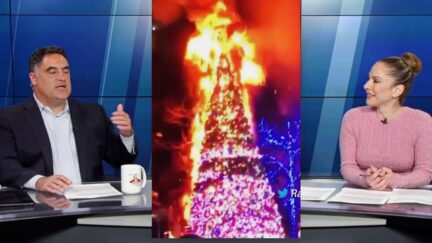 Cenk Uygur Ana Kasparian split image fox tree fire2