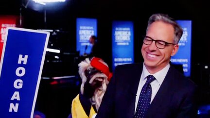 CNN's Jake Tapper Loses It Laughing After Scolding Puppet For Crossing Line During Post-Debate Coverage-2024-10-01