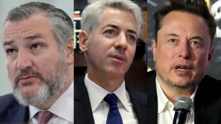 Ted Cruz, Bill Ackman, Elon Musk