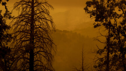 CA wildfire