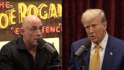 Joe Rogan Breaks Down for Donald Trump Why Media Is So Obsessed with Him