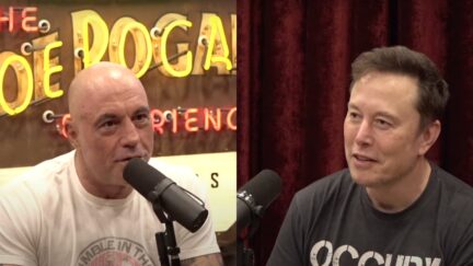 Joe Rogan and Elon Musk Agree This Is 'Last Election' If Trump Loses