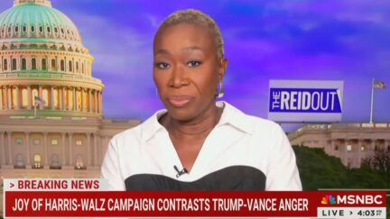 Joy Reid Calls Mark Kelly 'Safest' VP Pick