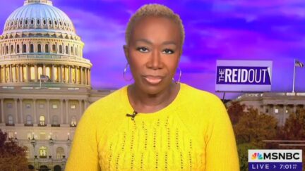 Joy Reid Accuses Trump of Pushing 'Reparations' for White People