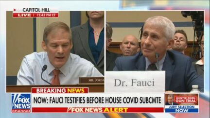 Jim Jordan and Anthony Fauci