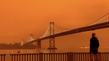 san fran orange sky