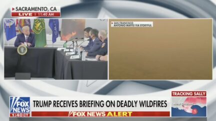 trump CA wildfires