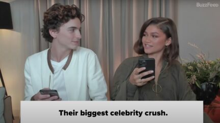 Timothée Chalamet calls Zendaya's relationship with Tom Holland on Buzzfeed BFF quiz