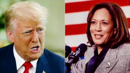 Trump Rages After Kamala Harris Blows Away His Digital Ad Spending