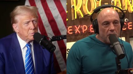 Trump Denies Beef with Joe Rogan