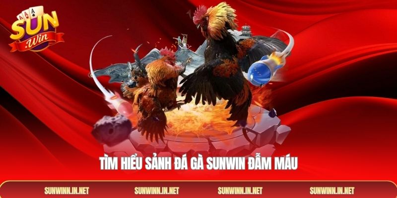 Tìm hiểu sảnh đá gà SUNWIN đẫm máu