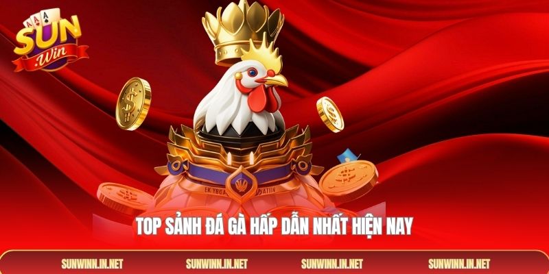 Top sảnh đá gà hấp dẫn nhất hiện nay